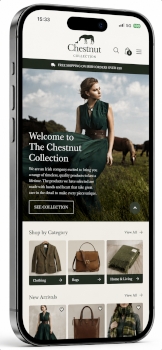 mobile version of a website 
