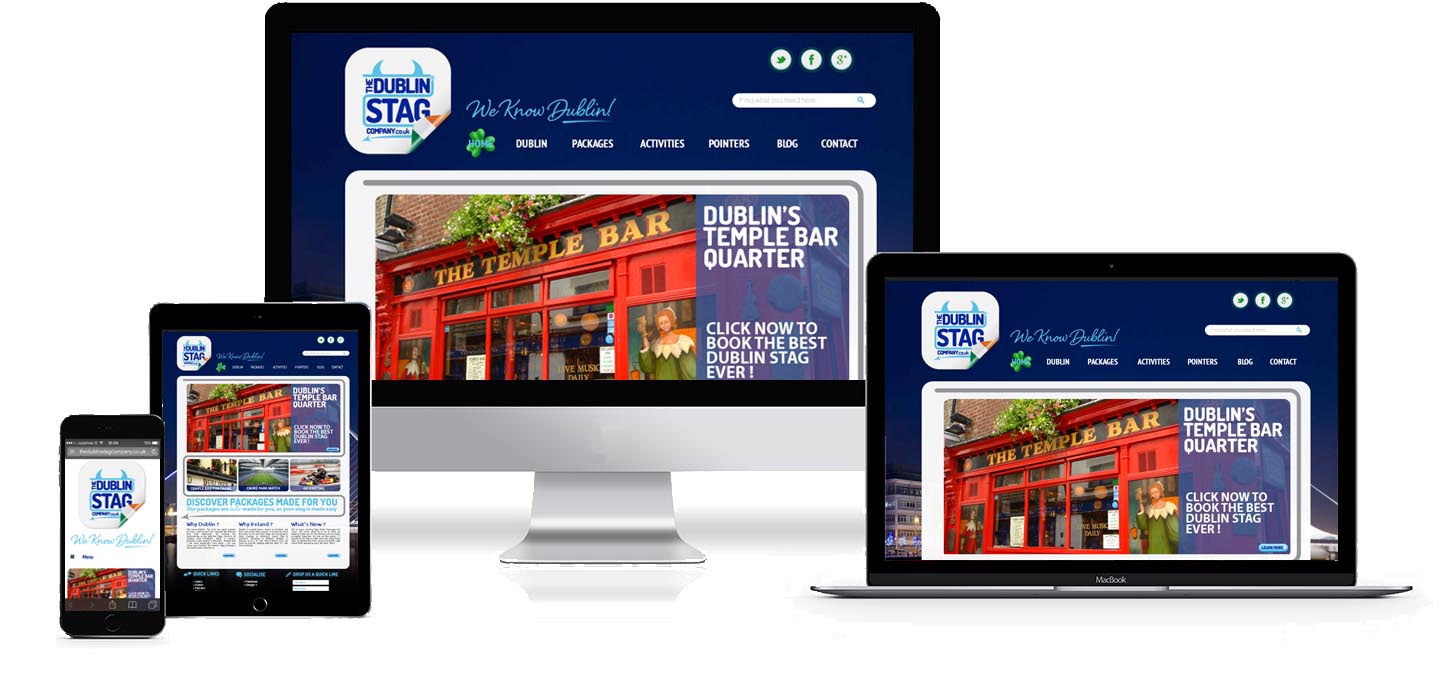 dublin stag company website design project image